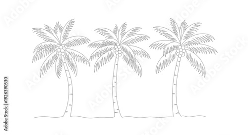 Three Coconut Palm Trees with Coconuts on a Beach Shoreline - Tropical Illustration