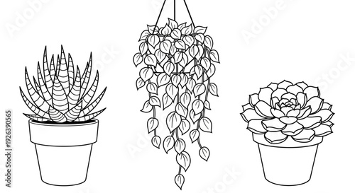 Diverse Potted Plants and Hanging Greenery in a Clean Art Style