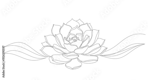Elegant Art Illustration of a Succulent Plant with Decorative Swirls, Minimalist Design