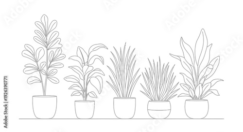 Collection of Minimalist Houseplants in Pots, Simple Art Design on White Background