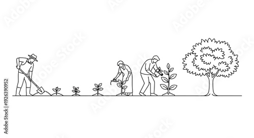 Illustration of Plant Growth Stages from Seedling to Mature Tree with Human Care