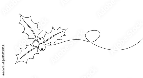 Elegant Single Drawing of Holly with Berries and Flowing Vine for Christmas Design