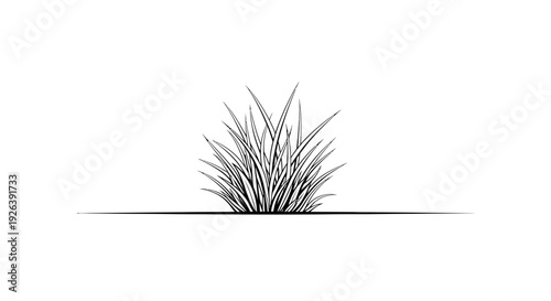 A detailed black and white illustration of a clump of grass growing from a thin horizontal line.