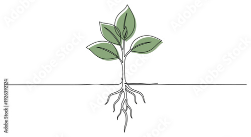 A minimalist line drawing of a healthy green plant with visible roots growing from the soil.