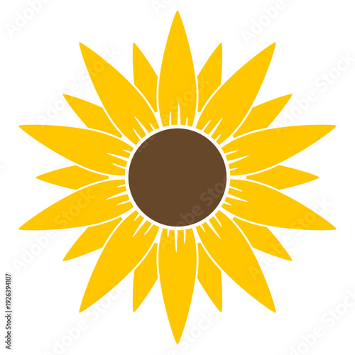sunflower vector illustration