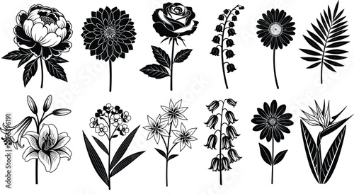 Floral silhouette collection with rose peony lily daisy bird of paradise flower botanical line art and cad drawing flat vector illustration