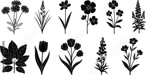 Wildflower silhouette collection with meadow floral elements, tulip, chamomile, lavender, garden plants, leaf bundle, botanical line art and cad drawing flat vector illustration