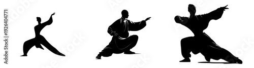 Elegant Silhouette of a Tai Chi Practitioner in Motion