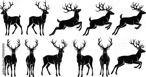 Mega Collection of Twenty Four Minimalist Tree Silhouettes Including Deciduous Evergreen Conifer and Tropical Palm Species for Nature Landscape Gardening and Environmental Conservation Graphic Design