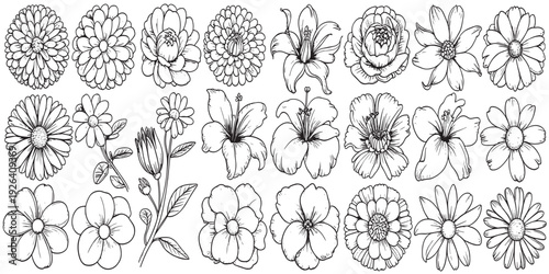 Black Sketch of Flowers Isolated on White Background. Set of flowers vector illustration of a plant design  hand draw flower set design 