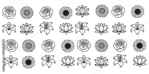 Black Sketch of Flowers Isolated on White Background. Set of flowers vector illustration of a plant design  hand draw flower set design 