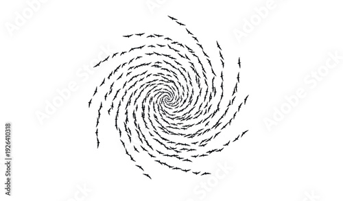 Massive swirling flock of migrating birds silhouette forming spiral vortex shape in minimalist sky composition vector illustration