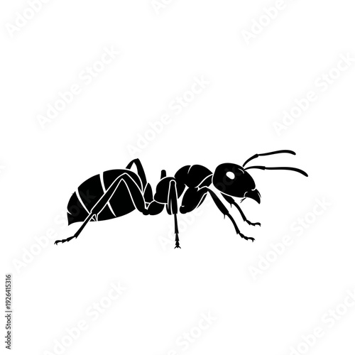 Black Ant Silhouette Vector Illustration Isolated on White Background, Detailed Insect Graphic Design Element