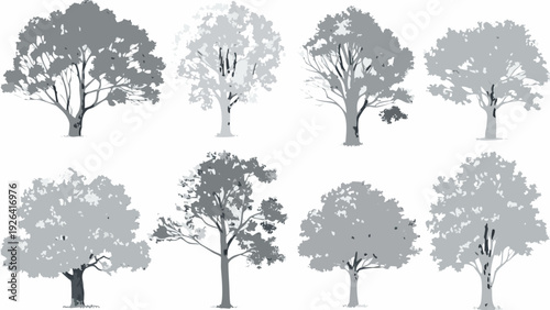 A collection of grayscale tree silhouettes against a white background