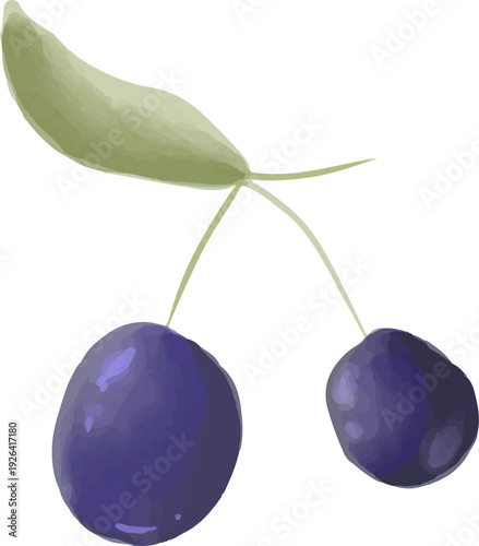 Olive Branch Watercolor Illustration Isolated Botanical Clipart