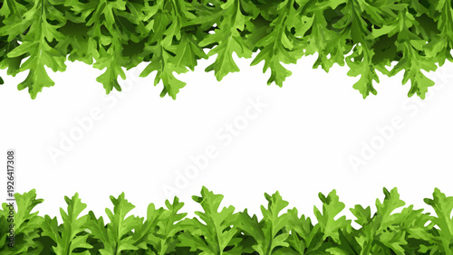 Lush green oak leaves forming a natural border on white