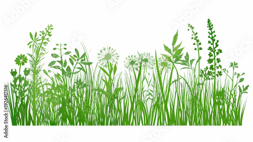 A vibrant illustration of various green grasses wildflowers and leafy plants