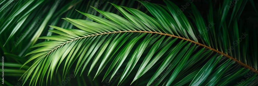 Fototapeta premium Lush Tropical Palm Leaves Create a Stunning Natural Pattern in a Vibrant Abstract Background Image