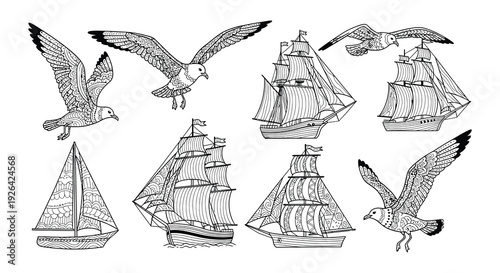 Detailed drawings of seabirds and vintage sailing ships in monochrome