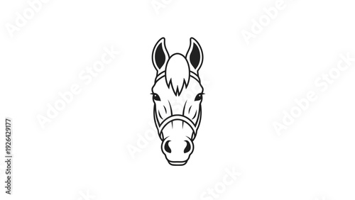 Donkey Head Portrait Close Up.