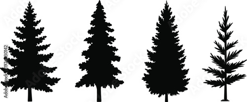 Realistic evergreen pine tree silhouettes set with detailed fir and spruce forest shapes isolated on light background black nature vector illustration collection