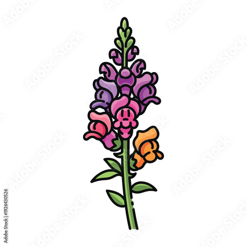 Colorful snapdragon flower illustration
