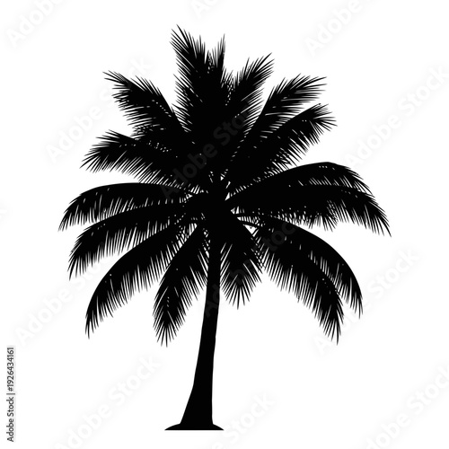 Majestic palm tree standing tall in tropical paradise