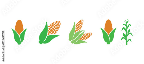 Set of corn icons. Vector illustration on a white backdrop