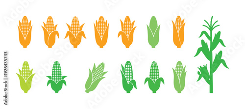 Corn icon collection. Vector graphic set isolated on a white background