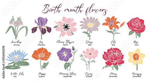 Vector illustration of all 12 birth month flowers in flat, colorful style with names and months, arranged neatly on transparent background.