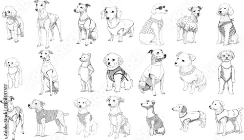 Hand Drawn Stylish Dressed Dog Character Illustration Collection