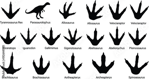 Dinosaur Footprint Silhouette Set with Prehistoric Trackways for Tyrannosaurus Rex Triceratops Velociraptor and Spinosaurus for Paleontology Education and Museum Exhibits