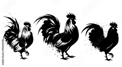 Three artistic black and white roosters in silhouette, displayed in a row with a textured brushstroke effect