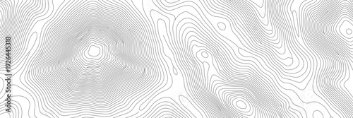 Seamless abstract topographic contour with fine gray terrain lines on light background