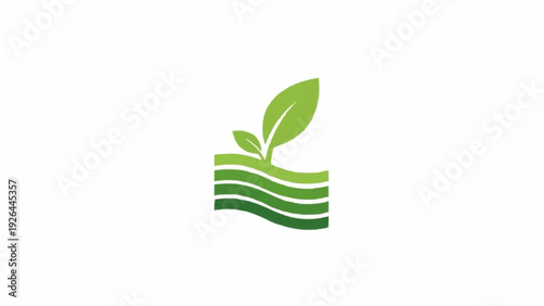 Green leaf sprout growing from ground.