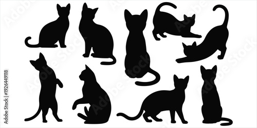 Group of black cat silhouettes in various poses on a white background feline animal