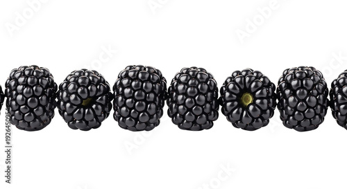 Row of ripe, juicy blackberries isolated on transparent background, perfect for healthy eating