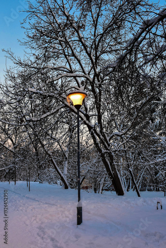 Icy Street Lantern with Frost Against Blue Winter Twilight Sky