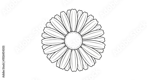 Black and white outline of a daisy flower with detailed petals