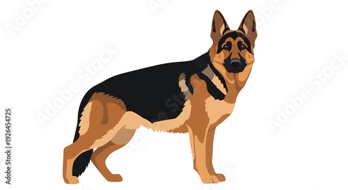 German Shepherd Dog Illustration on White Background