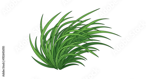 Realistic green grass illustration on white background