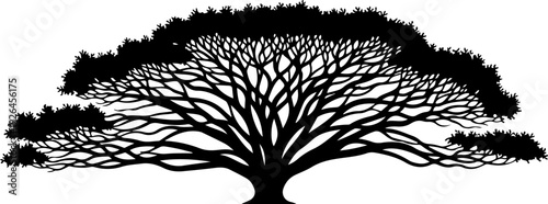 Mature Tree silhouette vector illustration