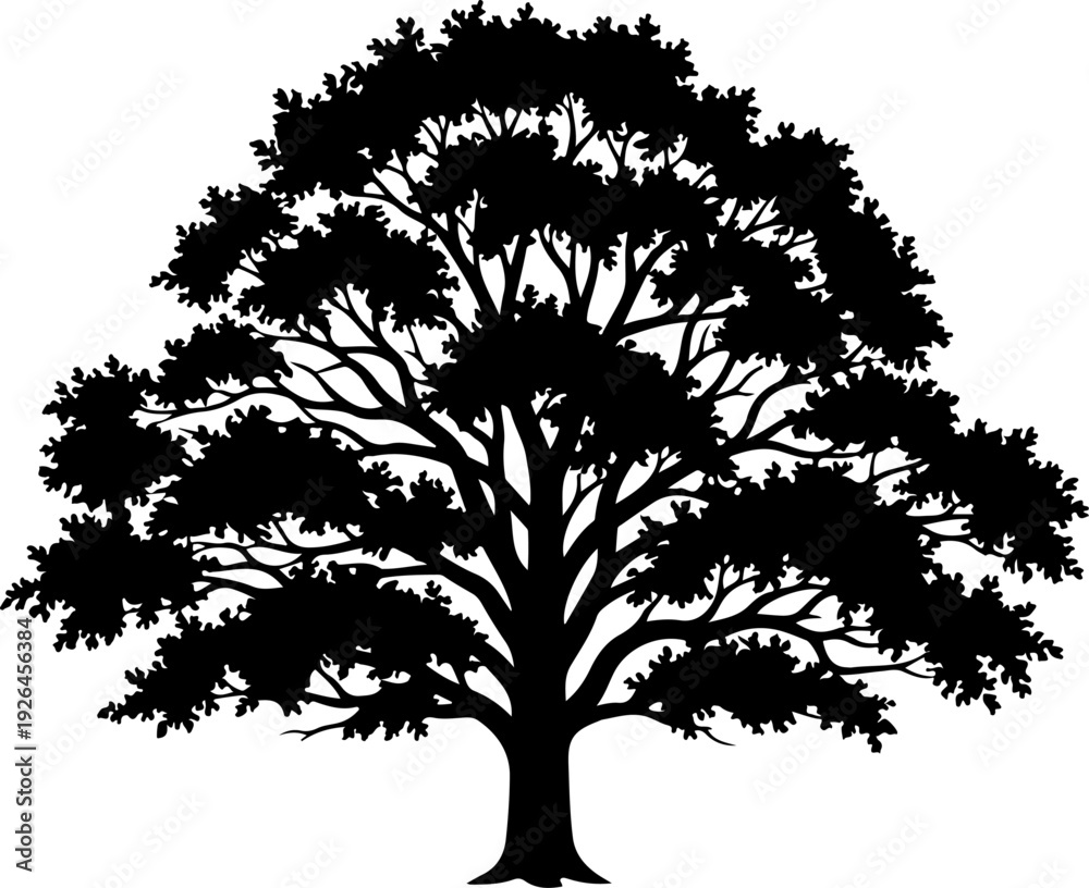 Obraz premium Mature Tree silhouette vector illustration