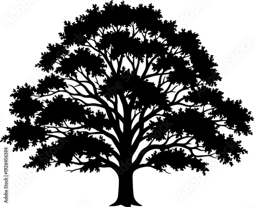 Mature Tree silhouette vector illustration