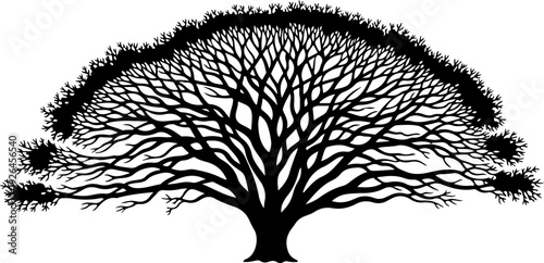 Mature Tree silhouette vector illustration