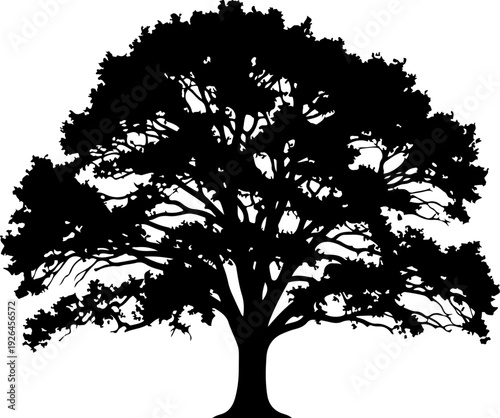 Mature Tree silhouette vector illustration