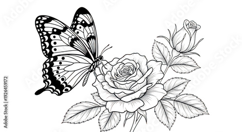 flower and buterfly