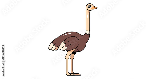 Cartoon illustration of a standing ostrich on white background