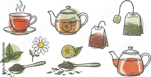 Hand drawn tea elements feature brewing equipment, herbs, and flavored slices for beverage.