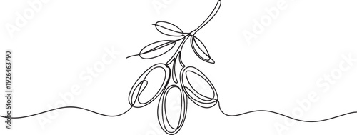 Continuous line design of hand drawn date fruits. Iftar design concept. Islamic holidays. one line Icon drawing